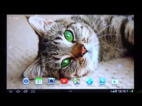 İndir Cat Live Wallpaper Özelleştirme Android için Ekran görüntüsü 8