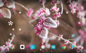 İndir Beautiful Winter Live Wallpape Özelleştirme Android için Ekran görüntüsü 7