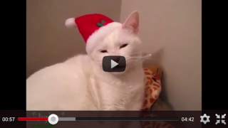 İndir Free Funny Videos for Whatsapp Eğlence Android için Ekran görüntüsü 7