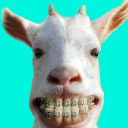 İndir  Funny Animal Videos: Cats Dogs