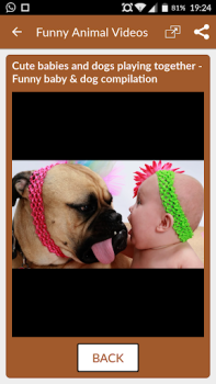 İndir Funny Animal Videos: Cats Dogs Eğlence Android için Ekran görüntüsü 3