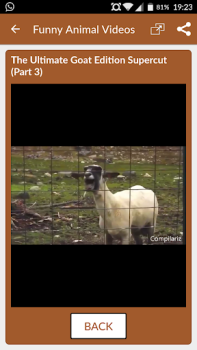 İndir Funny Animal Videos: Cats Dogs Eğlence Android için Ekran görüntüsü 6