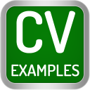 İndir  CV Examples: PDF CV Templates