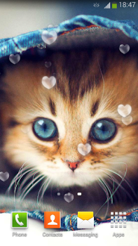 İndir Sevimli Kedi Duvar Kağıtları Özelleştirme Android için