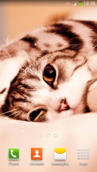 İndir Sevimli Kedi Duvar Kağıtları Özelleştirme Android için Ekran görüntüsü 3