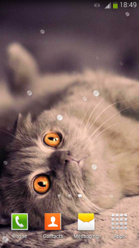 İndir Sevimli Kedi Duvar Kağıtları Özelleştirme Android için Ekran görüntüsü 6