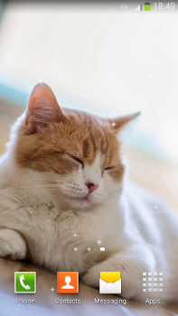 İndir Sevimli Kedi Duvar Kağıtları Özelleştirme Android için Ekran görüntüsü 7
