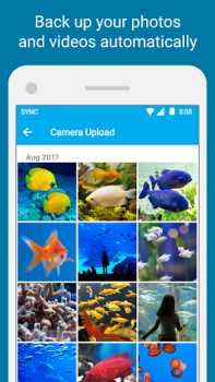 İndir Sync - Secure cloud storage İş Android için Ekran görüntüsü 3