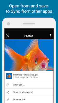 İndir Sync - Secure cloud storage İş Android için Ekran görüntüsü 4