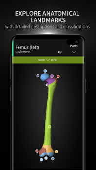 İndir Anatomyka - 3D Anatomy Atlas Tıp Android için Ekran görüntüsü 2