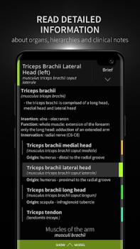 İndir Anatomyka - 3D Anatomy Atlas Tıp Android için Ekran görüntüsü 3