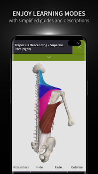 İndir Anatomyka - 3D Anatomy Atlas Tıp Android için Ekran görüntüsü 6