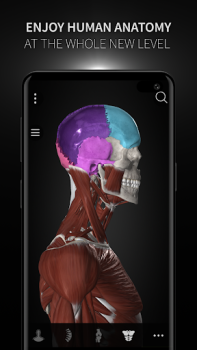İndir Anatomyka - 3D Anatomy Atlas Tıp Android için Ekran görüntüsü 7