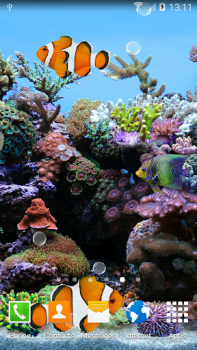 İndir Coral Fish 3D Live Wallpaper Özelleştirme Android için
