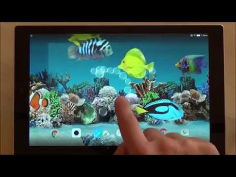 İndir Coral Fish 3D Live Wallpaper Özelleştirme Android için Ekran görüntüsü 8