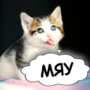 İndir  Cat translator. Cat sounds. Meow joke