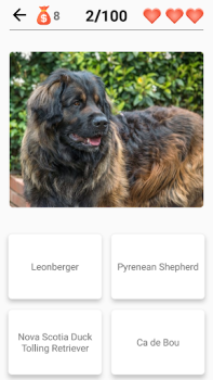 İndir Dog Breeds - Quiz about dogs! Sınavlar Android için Ekran görüntüsü 2