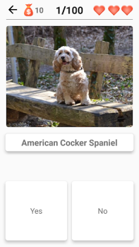İndir Dog Breeds - Quiz about dogs! Sınavlar Android için Ekran görüntüsü 7