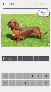 İndir Köpekler Tüm ırkları tahmin et Sınavlar Android için Ekran görüntüsü 7