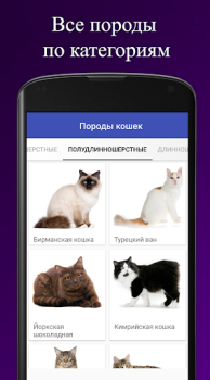 İndir Породы кошек. Справочник пород Kitaplar & Rehberler Android için Ekran görüntüsü 2