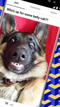 İndir 9GAG: Funny GIF, Meme & Video Eğlence Android için Ekran görüntüsü 2