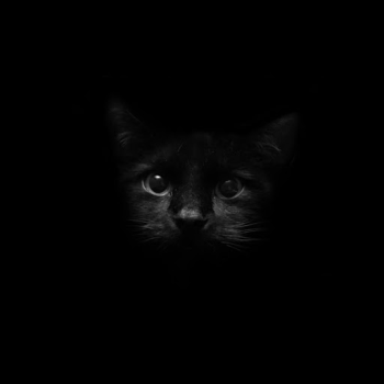 İndir Black Live Wallpaper Özelleştirme Android için Ekran görüntüsü 5