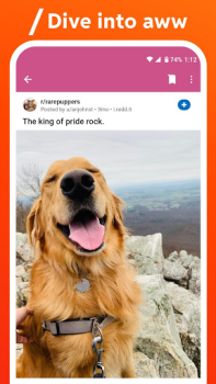 İndir Reddit Haberler & Dergiler Android için Ekran görüntüsü 5