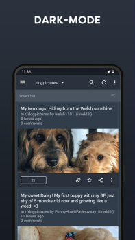 İndir BaconReader for Reddit Haberler & Dergiler Android için Ekran görüntüsü 2