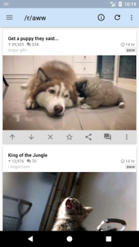 İndir rif is fun for Reddit Haberler & Dergiler Android için Ekran görüntüsü 3