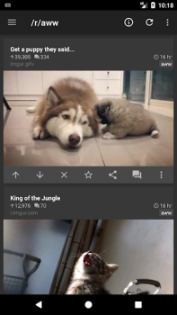 İndir rif is fun for Reddit Haberler & Dergiler Android için Ekran görüntüsü 4