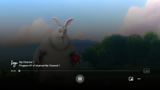 İndir Ace Stream LiveTV Video oynatıcılar ve düzenleyiciler Android için Ekran görüntüsü 4