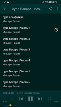 İndir sourate al baqara al afasy offline Yaşam Tarzı Android için Ekran görüntüsü 2