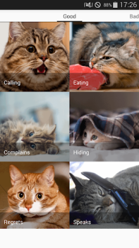 İndir Cat sounds - play with cats Eğlence Android için Ekran görüntüsü 5