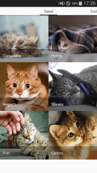 İndir Cat sounds - play with cats Eğlence Android için Ekran görüntüsü 6