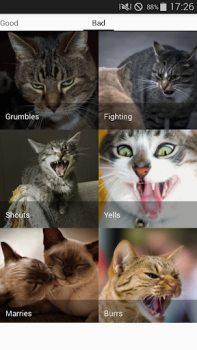 İndir Cat sounds - play with cats Eğlence Android için Ekran görüntüsü 7