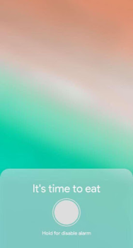 İndir Meal Timer Sağlık & Fitness Android için Ekran görüntüsü 2