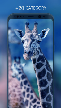 İndir Güzel Duvar Kağıtları Özelleştirme Android için Ekran görüntüsü 2