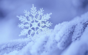 İndir Falling Snow Live Wallpaper (live background) Özelleştirme Android için Ekran görüntüsü 4