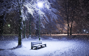İndir Falling Snow Live Wallpaper (live background) Özelleştirme Android için Ekran görüntüsü 5