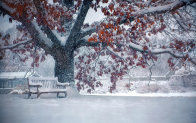 İndir Falling Snow Live Wallpaper (live background) Özelleştirme Android için Ekran görüntüsü 6