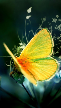 İndir Butterflies Live Wallpaper Özelleştirme Android için Ekran görüntüsü 3
