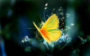 İndir Butterflies Live Wallpaper Özelleştirme Android için Ekran görüntüsü 6