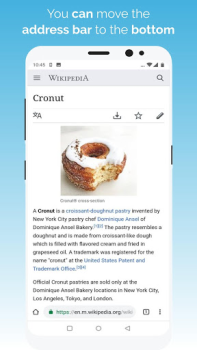İndir Kiwi Browser - Fast & Quiet İletişim Android için Ekran görüntüsü 4