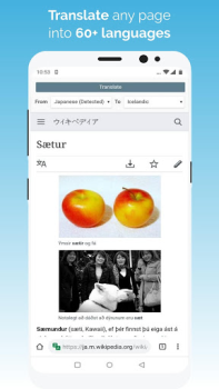 İndir Kiwi Browser - Fast & Quiet İletişim Android için Ekran görüntüsü 5