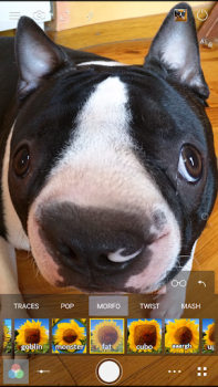 İndir Cameringo Lite Foto Filtreleri Fotoğraf Android için Ekran görüntüsü 7