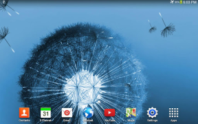 İndir Karahindiba canlı duvar kağıdı Özelleştirme Android için Ekran görüntüsü 7