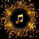 İndir  Pi Music Player: Offline Music