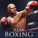 İndir  Real Boxing