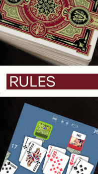 İndir Durak - Rules of Card Games Kitaplar & Rehberler Android için Ekran görüntüsü 3