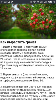 İndir Дача и огород Хитрости Советы Kitaplar & Rehberler Android için Ekran görüntüsü 3